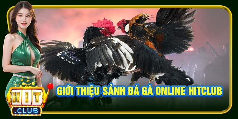 Giới thiệu sảnh đá gà online Hitclub