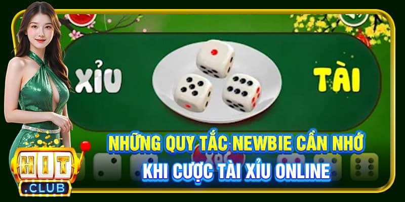 Những quy tắc newbie cần nhớ khi cược Tài Xỉu online